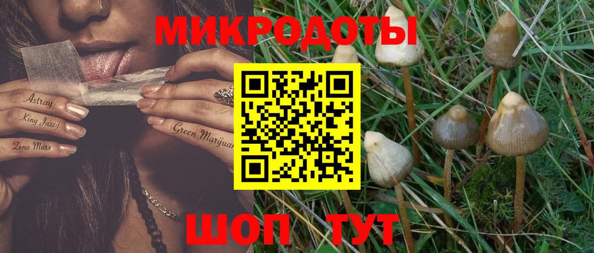 Галлюциногенные грибы мухоморы Энгельс