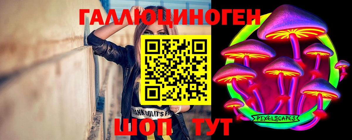 Энгельс  Псилоцибиновые грибы мицелий  Вход с VPN  купить   Псилоцибиновые грибы Cubensis 